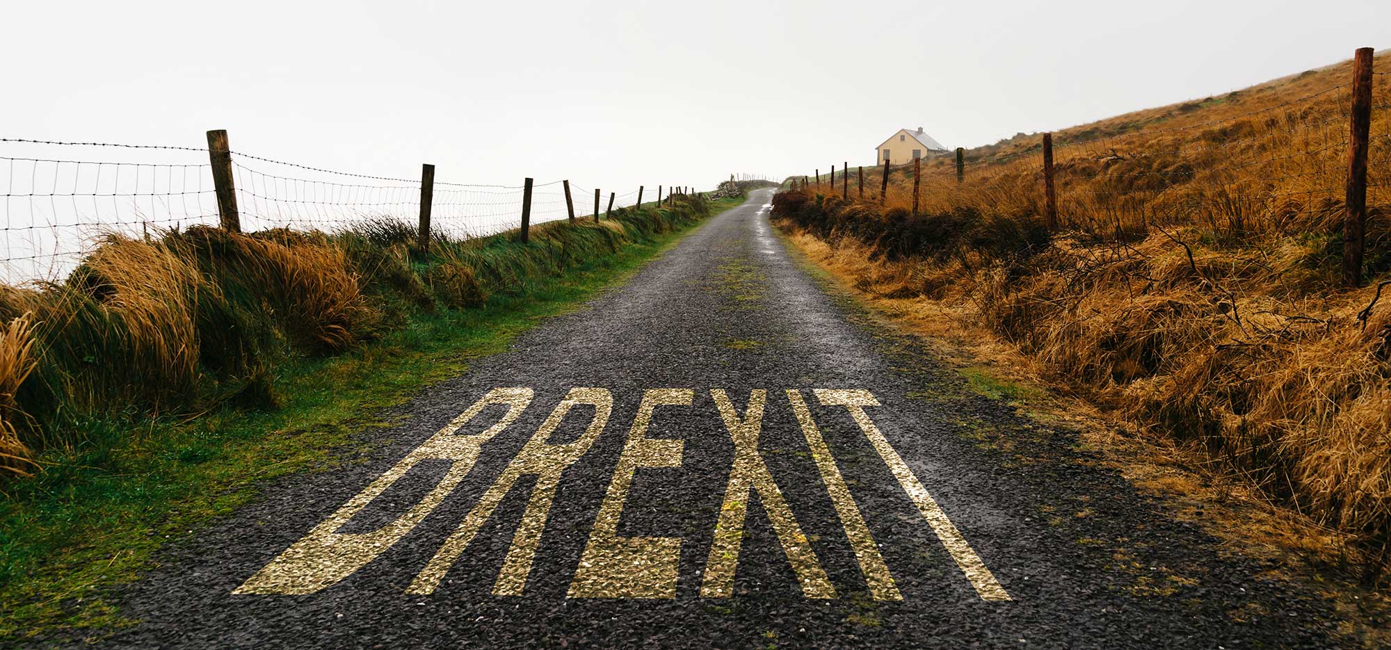 A rural road stretches into the distance with the word "BREXIT" painted in bold letters on the asphalt. The road is flanked by a wire fence and fields with dry grass. A small house is visible in the background under an overcast sky, as though bidding "Welcome 2021!" amidst change and uncertainty.